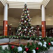 Celebrate the Holidays at the Resort